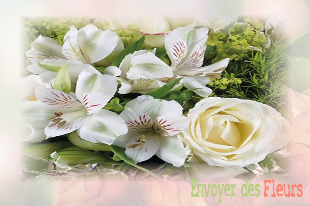 envoyer des fleurs à à ABONCOURT-GESINCOURT